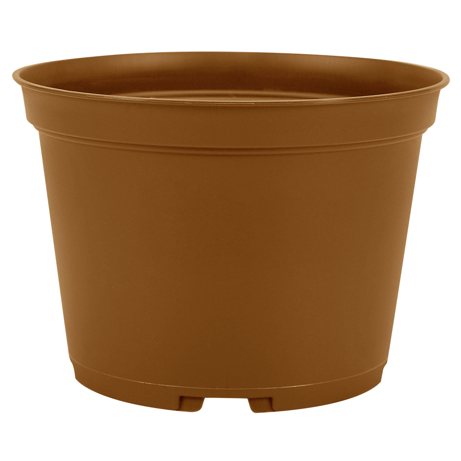 sold by jmbamboo 100 NEW 6 Inch TEKU Plastic Nursery Pots Azalea Style ~ Pots ARE 6 Inch Round At the Top and 5 Inch Deep 