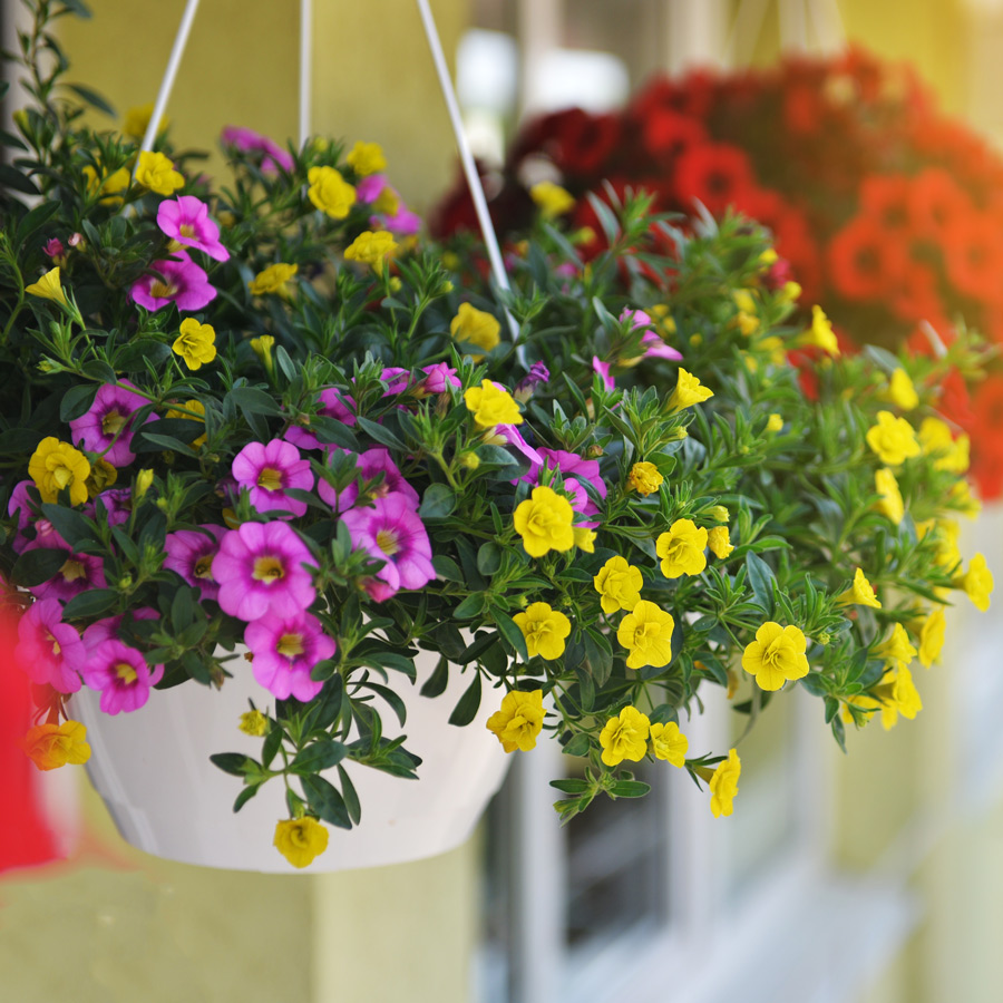 Plant Containers | Planters and Plant Pots | HC Companies