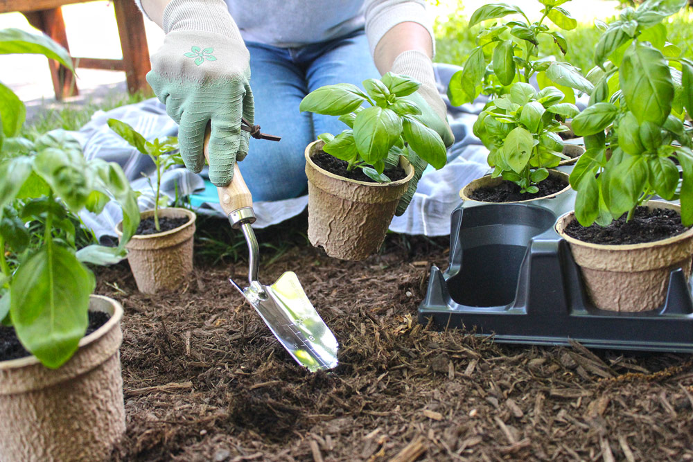 Kingston Tools Round Fibre Pots 8cm Gardening Biodegradable Grow Plant 96-Pack 