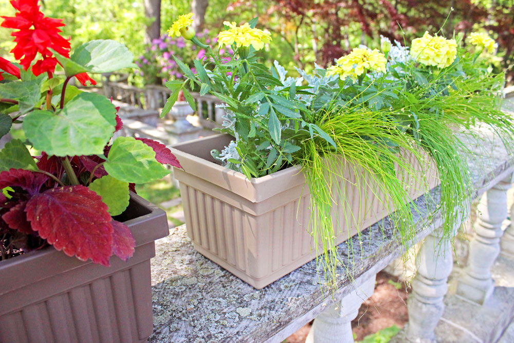 Container-Gardens