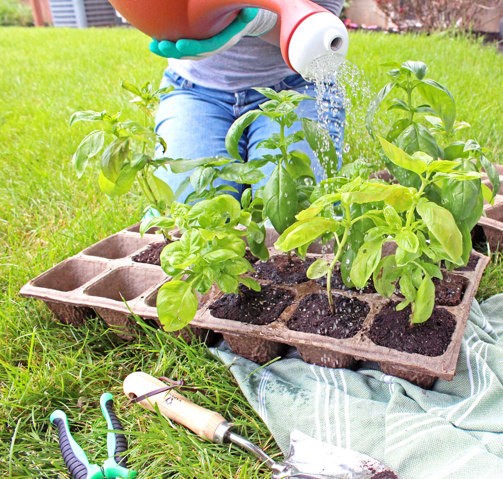 Fiber Containers Molded Fiber Pots and Planters HC Companies