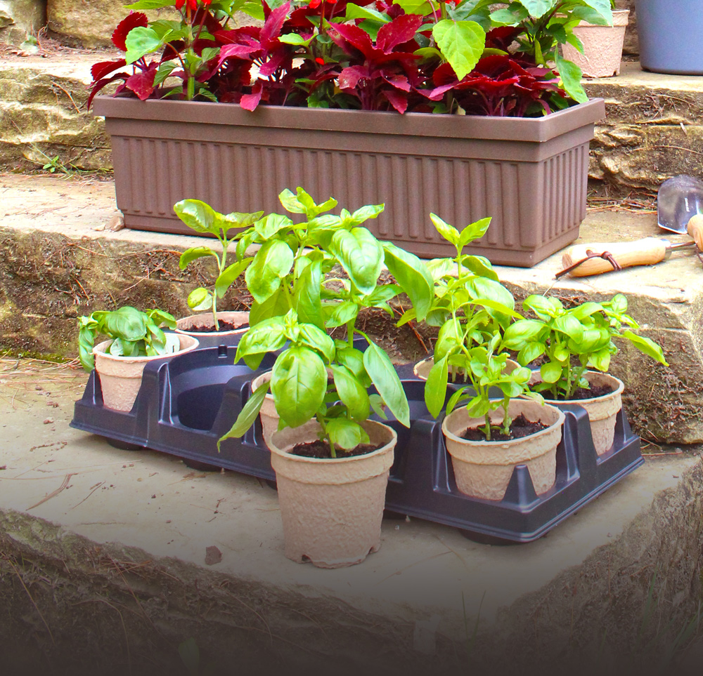 Wholesale Plant Containers, Planters, Plant Pots Bulk Flower Pots