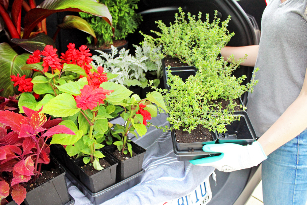 Wholesale Plant Containers, Planters, Plant Pots Bulk Flower Pots