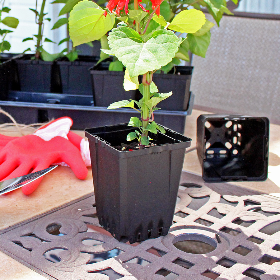 Wholesale Greenhouse Growing Containers, Planters, and Pots