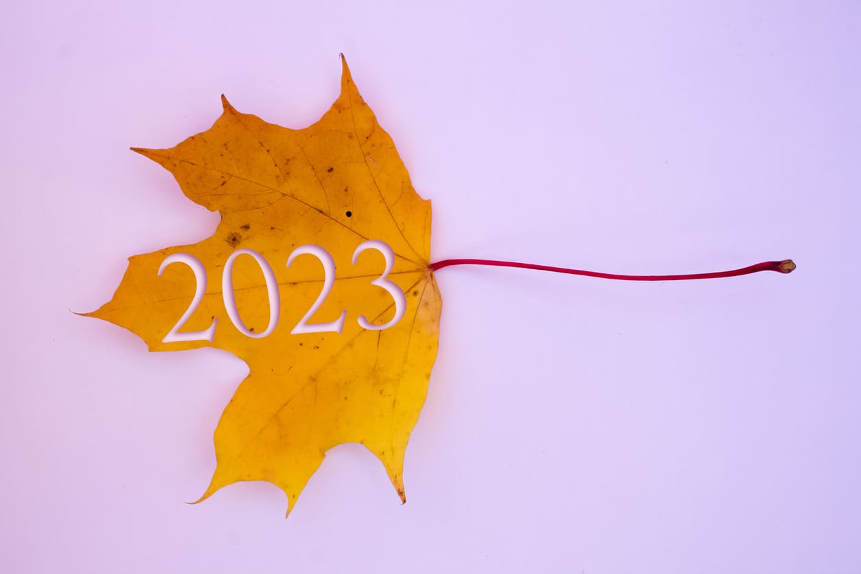 Fall 2023 Horticultural Trends