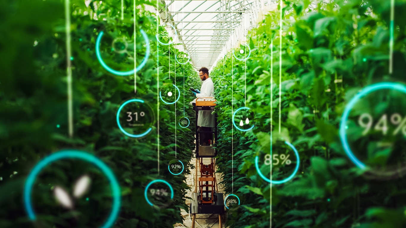 Automated systems for greenhouse sustainability